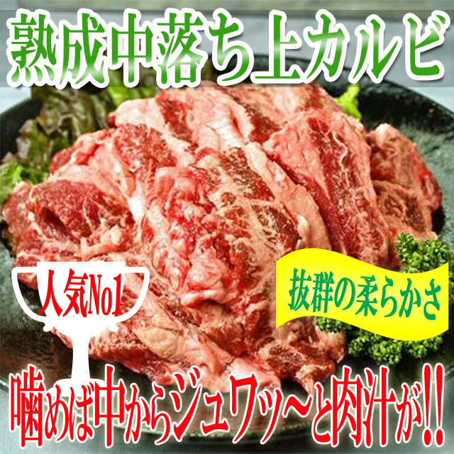 熟成中落ち上カルビ1ｋｇ/中落ち上カルビ/カルビ/かるび/熟成カルビ/カナダ産/霜降り中落カルビ/[5]