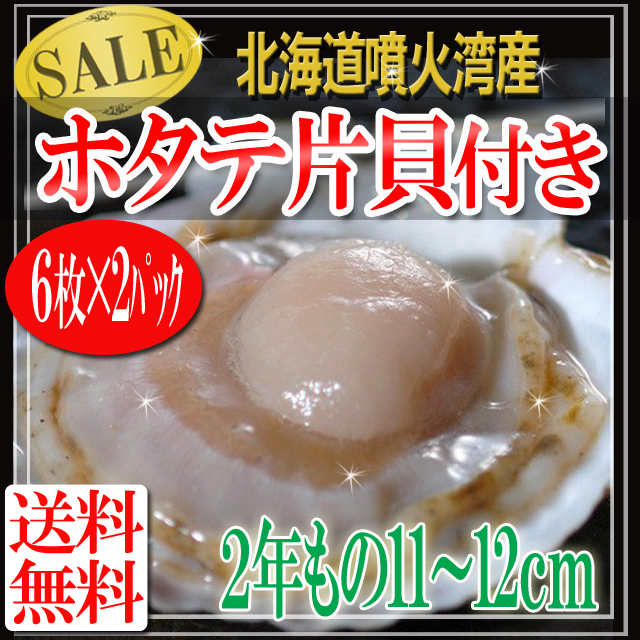 北海道噴火湾産】ほたて片貝2年11～12cm【送料無料】/ホタテ/ホタテ片貝/片貝12枚(6枚が2パック）/[173]