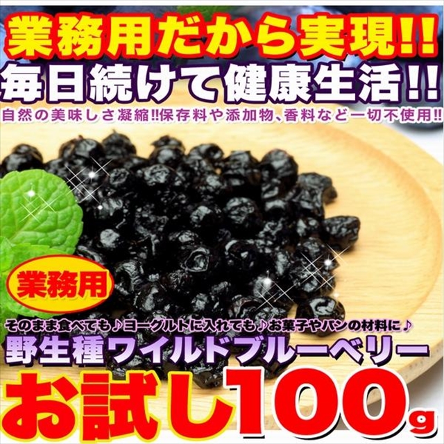 お試し】野生種ワイルドブルーベリー100g/ブルーベリー/ぶるーべりー/送料無料※メール便/[325]